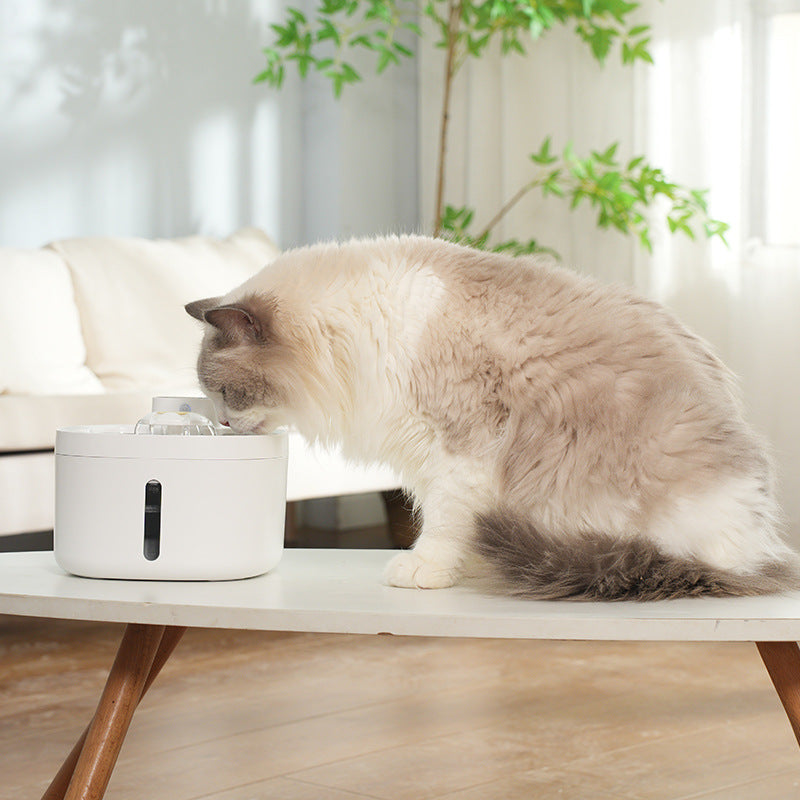 Fontaine à eau sans fil intelligente pour animaux avec bol en inox